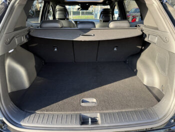 50256429-kia-sportage-2022