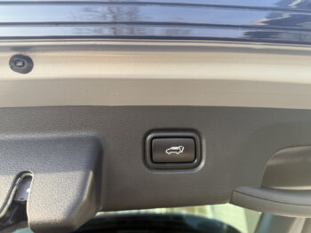 50316381-kia-sportage-2022