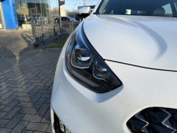 51766882-kia-niro-2021