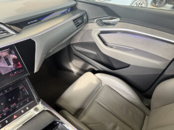 52256649-audi-e-tron-2019