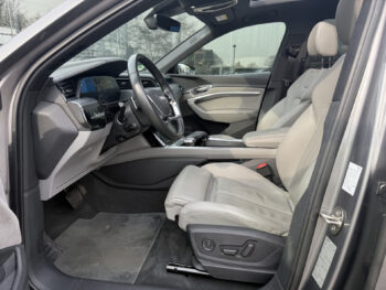 52256649-audi-e-tron-2019