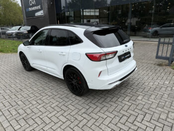 56330662-ford-kuga-2023